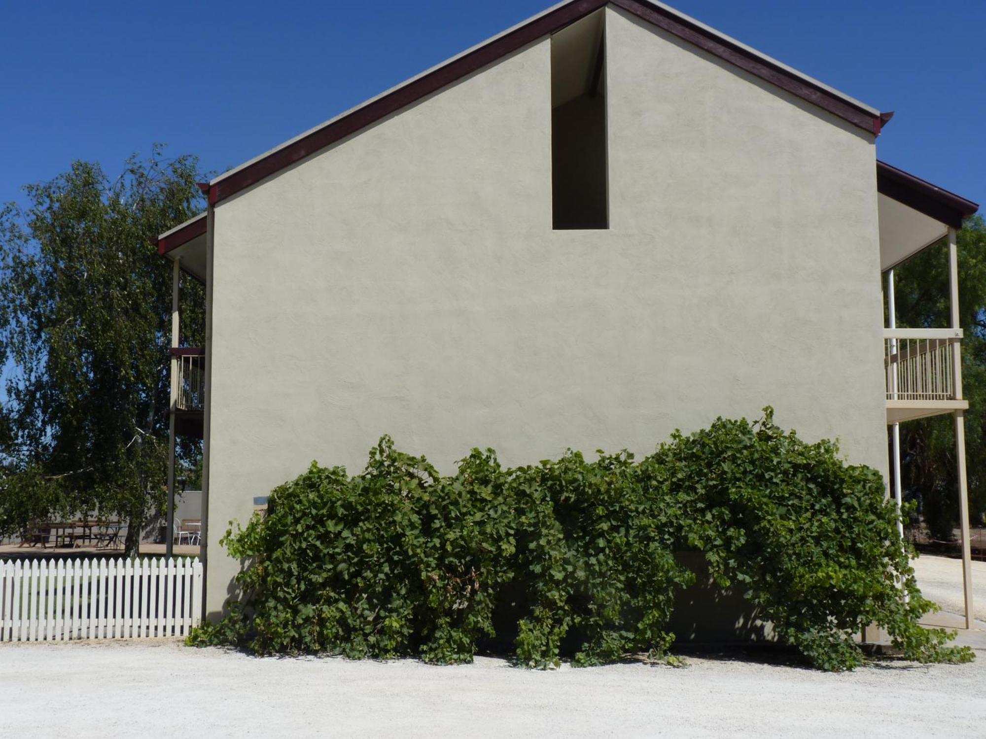 Coonawarra Motor Lodge Penola Extérieur photo