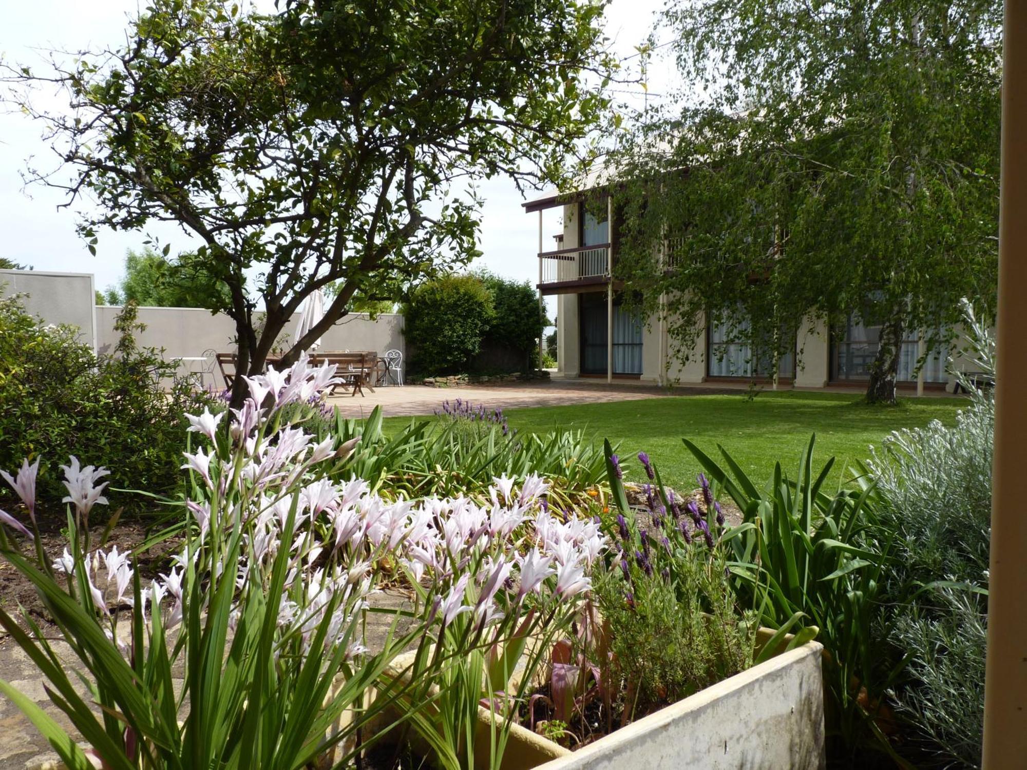 Coonawarra Motor Lodge Penola Extérieur photo
